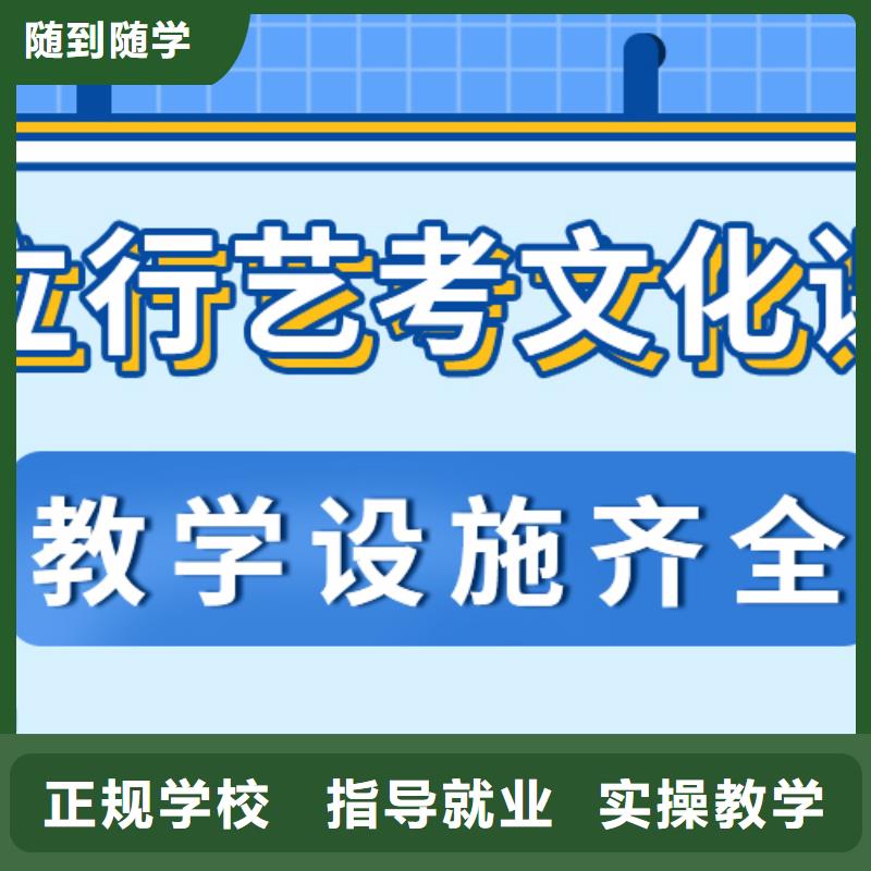 艺术生文化课辅导机构有几所有什么选择标准吗