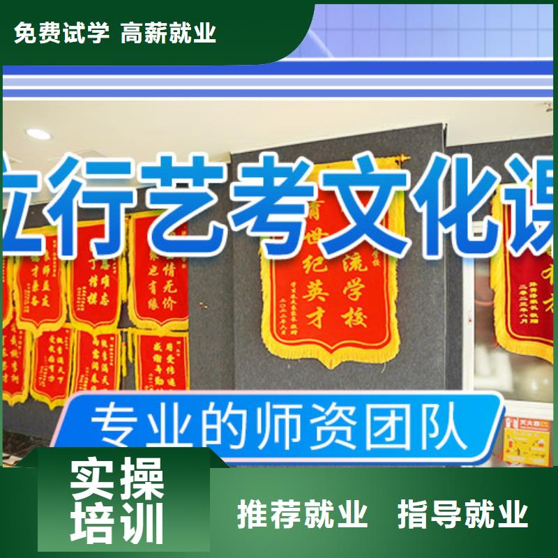 艺考文化课辅导【艺考文化课冲刺】老师专业