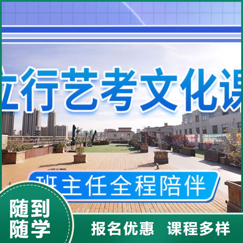 【艺考文化课补习】艺考文化课集训班老师专业