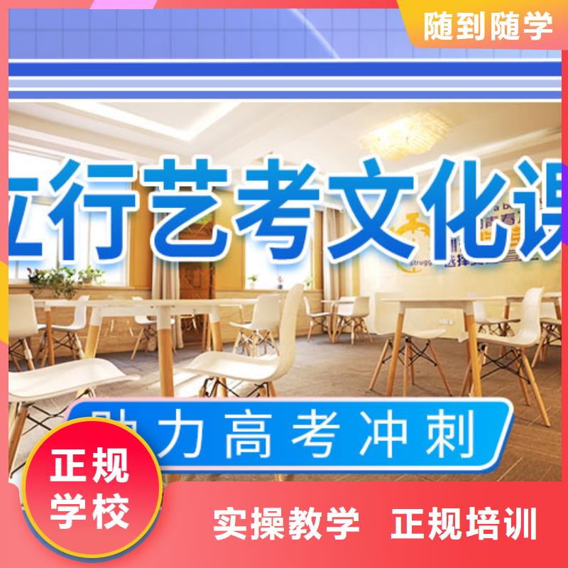 艺考文化课补习艺考一对一教学就业不担心