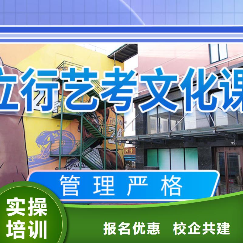 艺考文化课补习【艺考培训】理论+实操