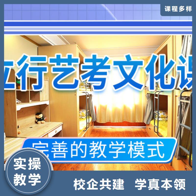 艺考文化课集训高考语文辅导随到随学