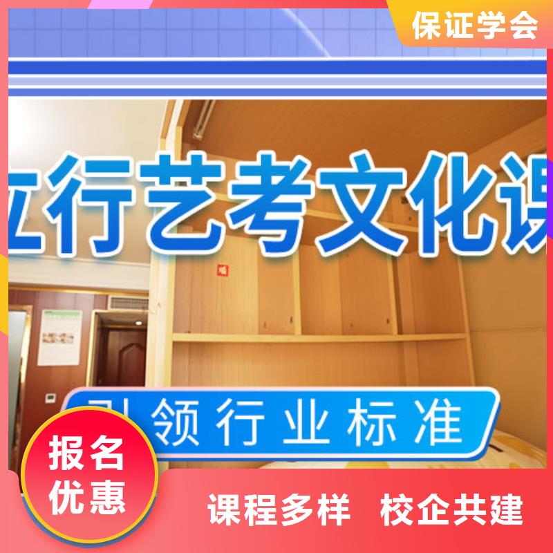艺考文化课培训高考复读周六班实操教学