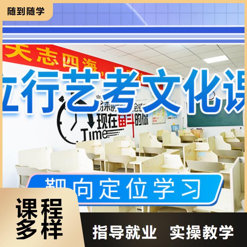 艺考文化课培训高考复读周六班实操教学