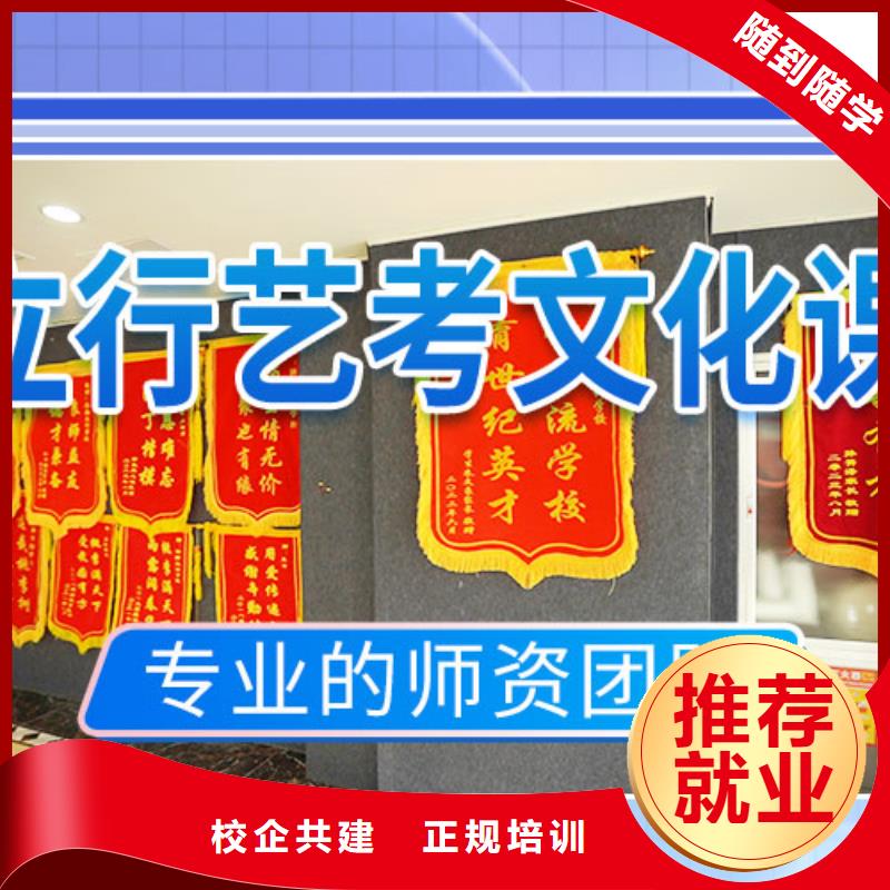 艺考生文化课培训补习本地