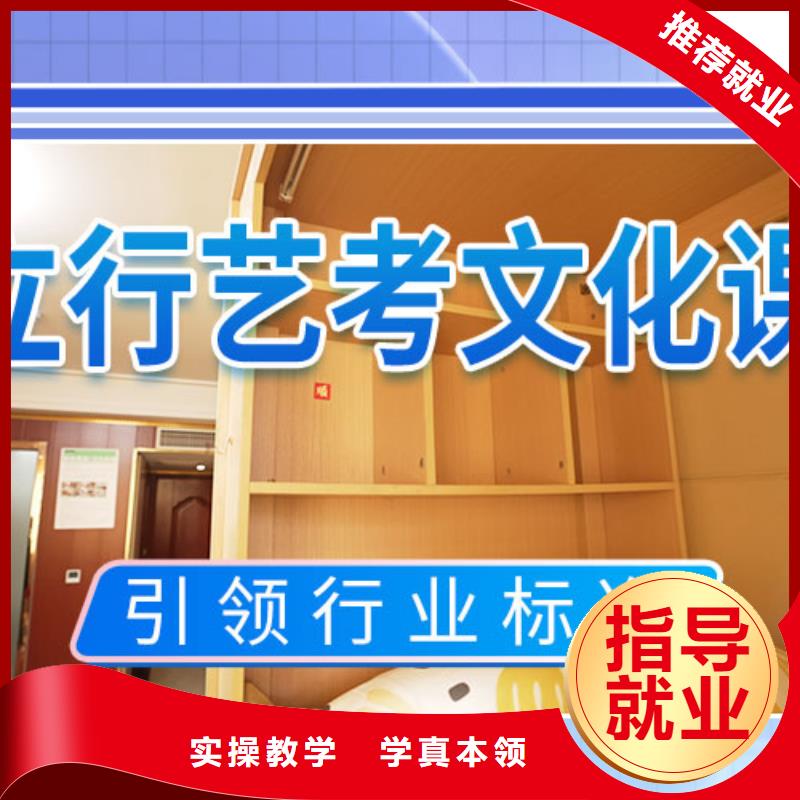 艺考文化课冲刺艺考文化课培训实操教学
