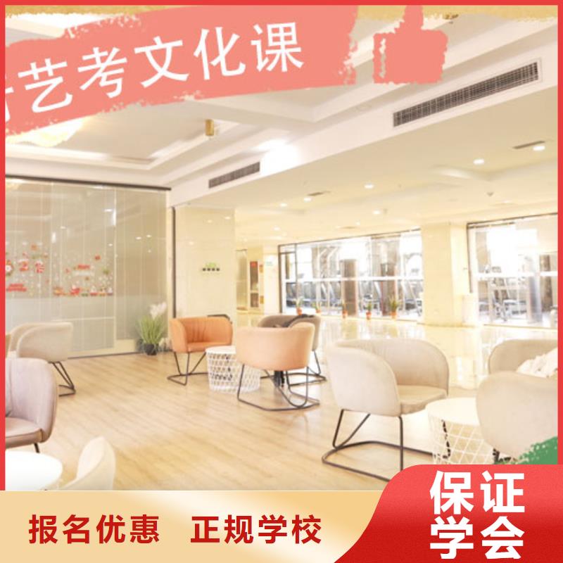 艺考文化课培训老师专业
