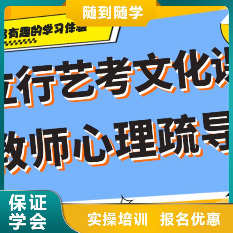 收费艺术生文化课辅导集训定制专属课程