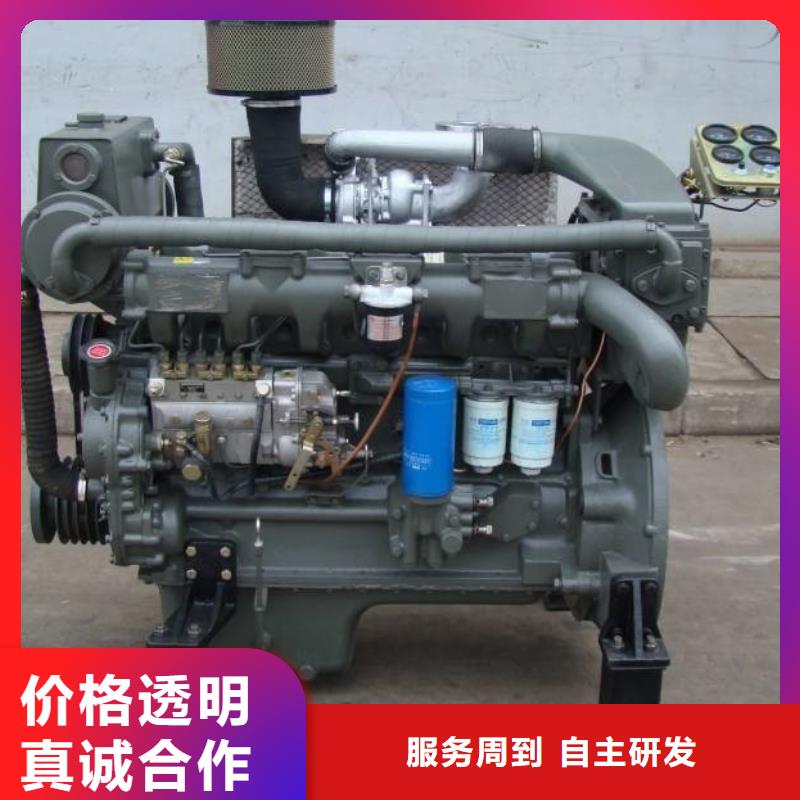 贝隆柴油发电机价格合理的公司