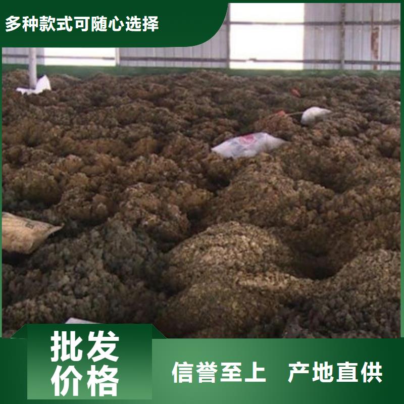  含铜泥值得信任