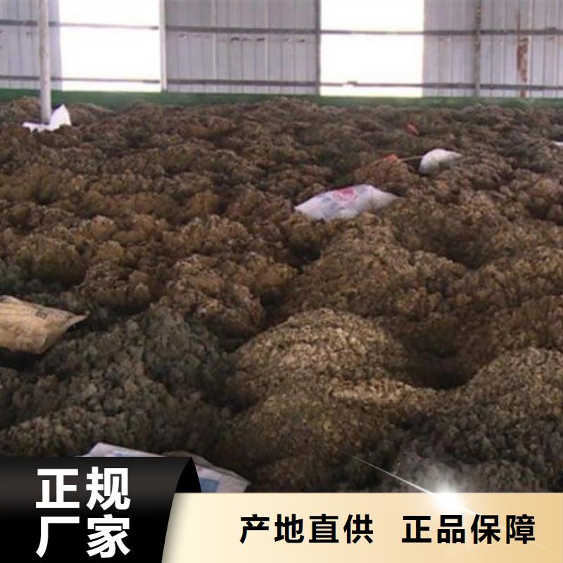 含铜泥 阳能光伏板回收专业评估