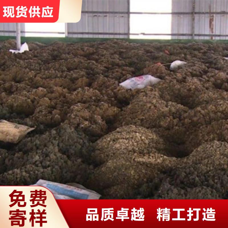  含铜泥高价回收