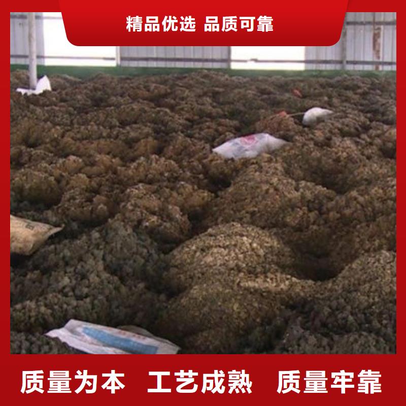 含铜泥回收光伏板实力强