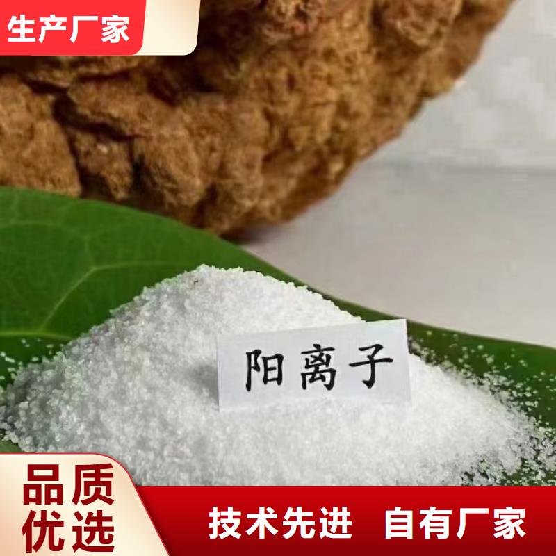 阴离子聚丙烯酰胺只做精品