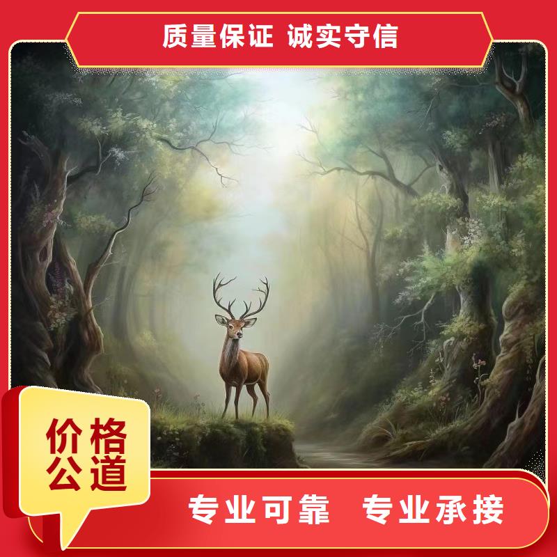 涂鸦壁画彩绘手绘墙公司