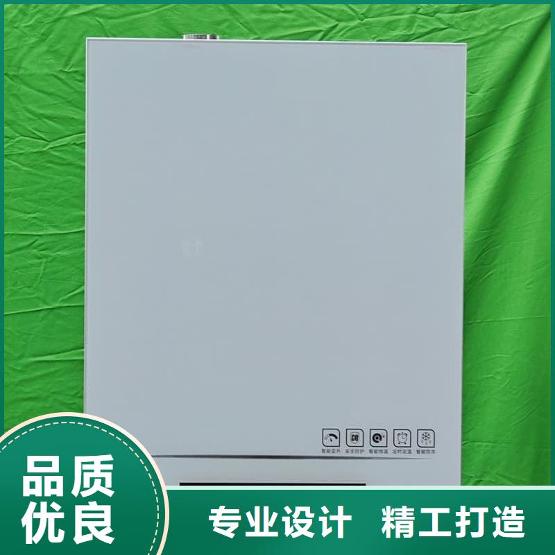 2025经验丰富#家用电采暖炉
定制#源头厂家