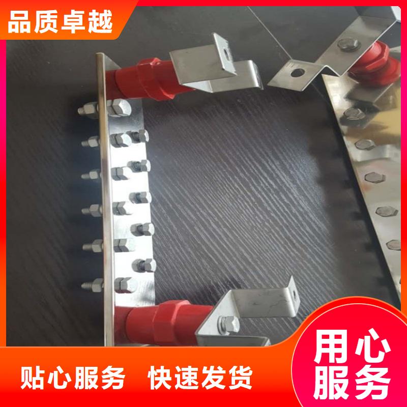 紫铜排来图定制