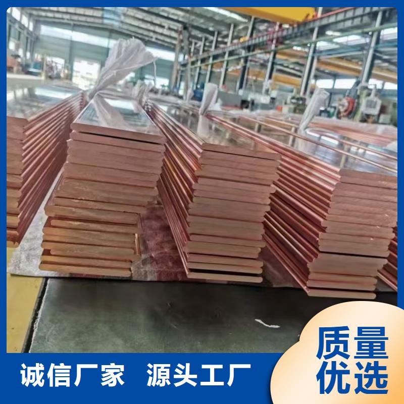 紫铜排品种全