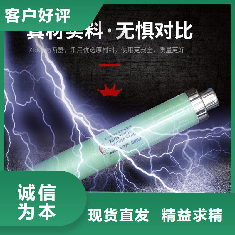 XRNT-12/2A高压PT熔管