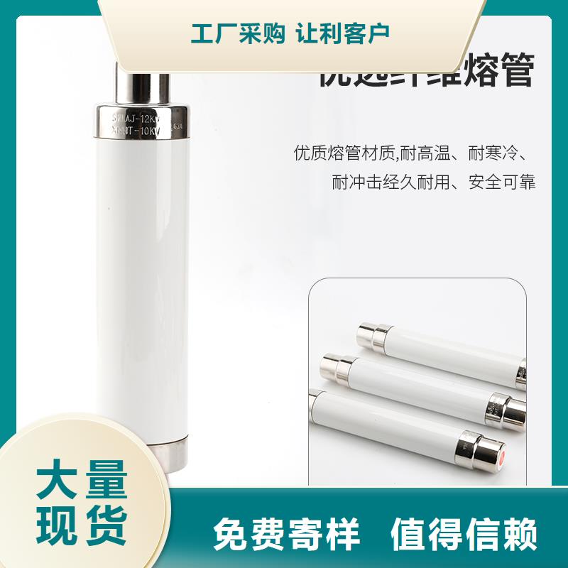 BRW-10/100A限流熔断器