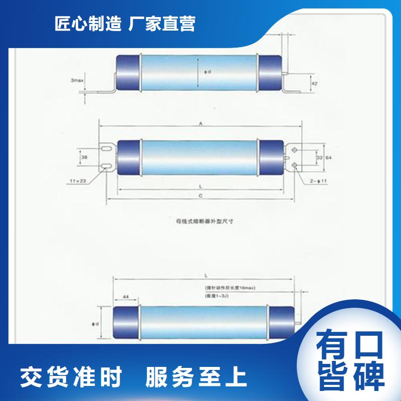 XRNM-3.6/125A熔断器樊高