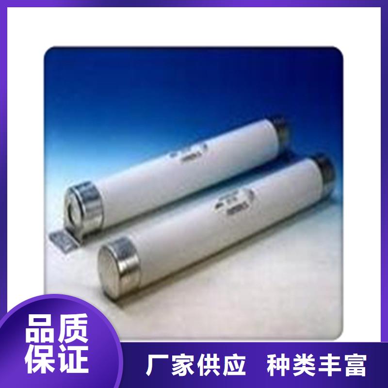 XRNT-12/2A高压PT熔管