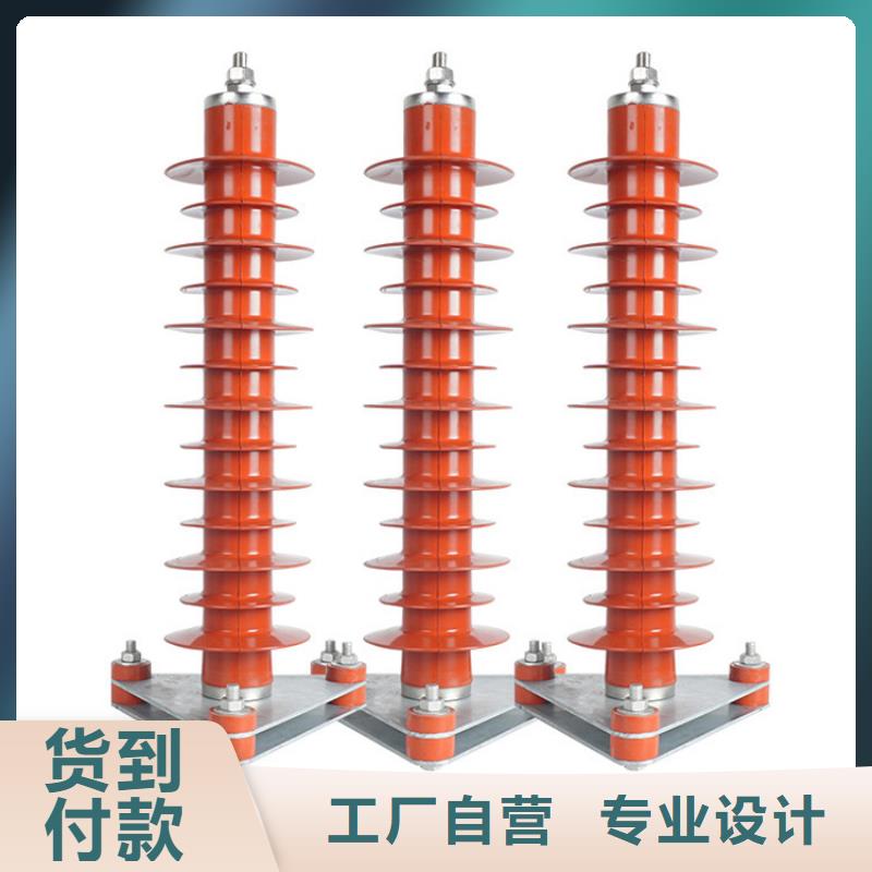 JCQ10-66在线监测器图片