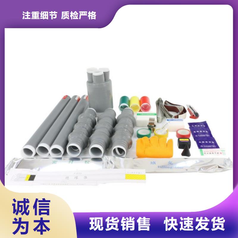 单芯冷缩户外终端头WLS-10/1.3