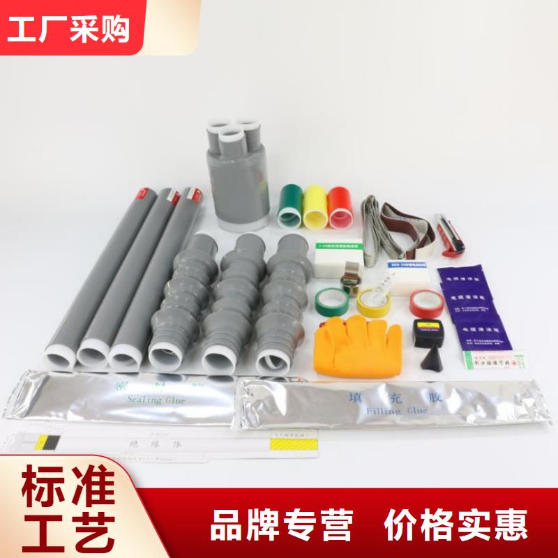 单芯冷缩户外终端头WLS-10/1.3