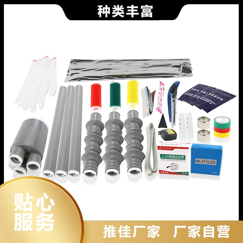 DXN8-Q带电显示器