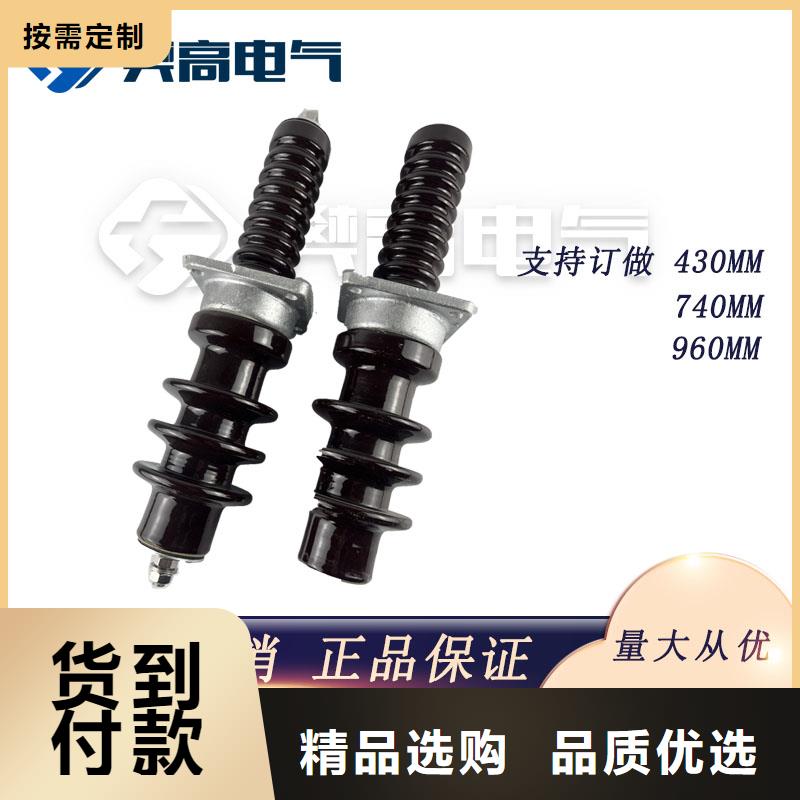 CWW-10/4000A陶瓷高压托管