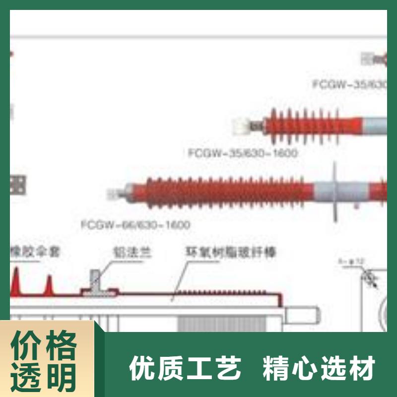 穿墙套管-【绝缘子】实力工厂 樊高电气销售部(吉林市分公司)