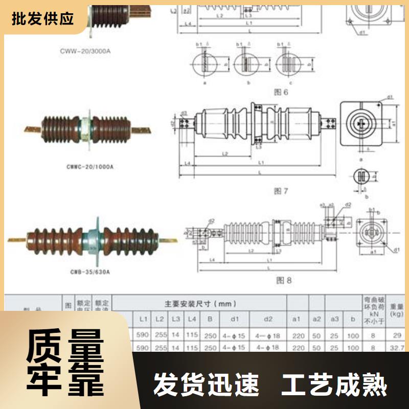 FCGW-40.5/2500复合套管樊高