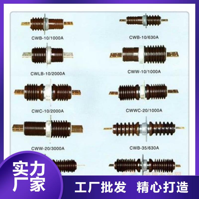 穿墙套管氧化锌避雷器实力大厂家-樊高电气销售部(咸阳市分公司)|覆盖地域三原|淳化|西安|延安|宝鸡|安康|汉中|商洛|铜川