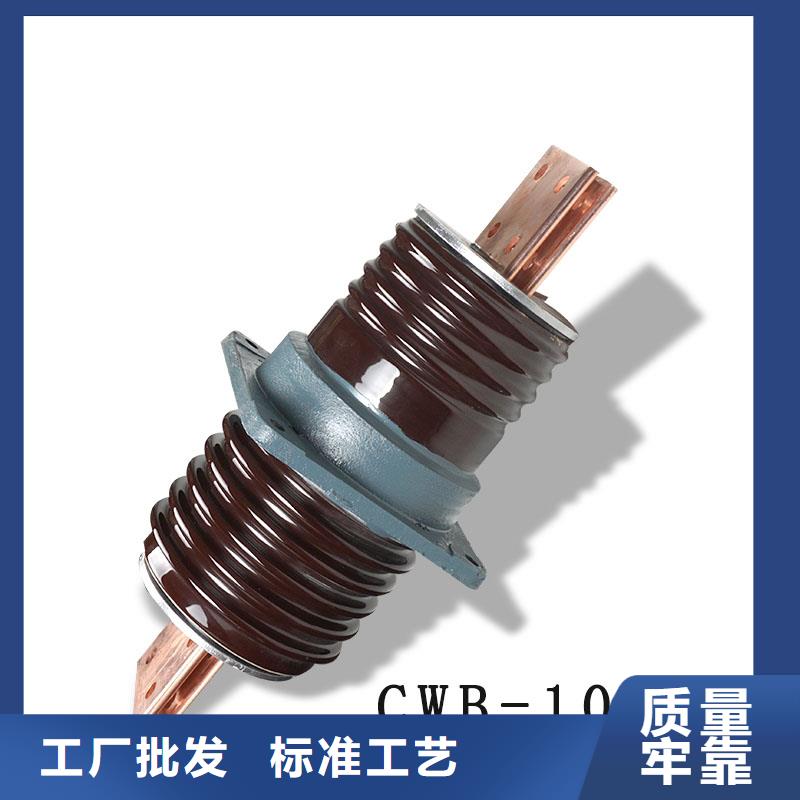 CWW-40.5/630A-4陶瓷高压托管