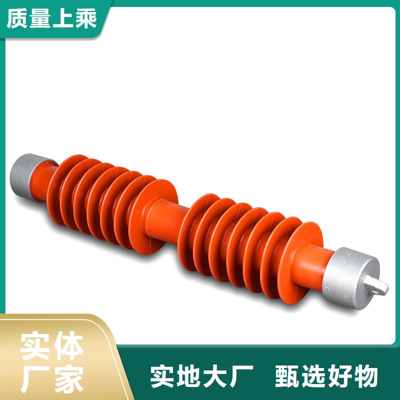 RW9-35/100A高压保险管