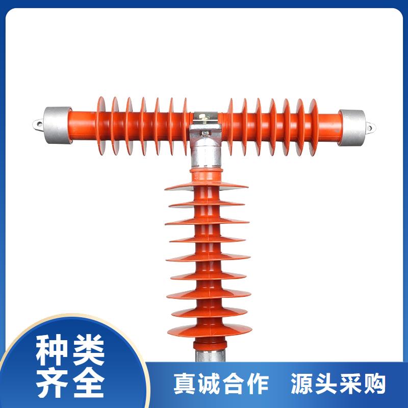 XRNP-24KV/3.15A高压熔断器
