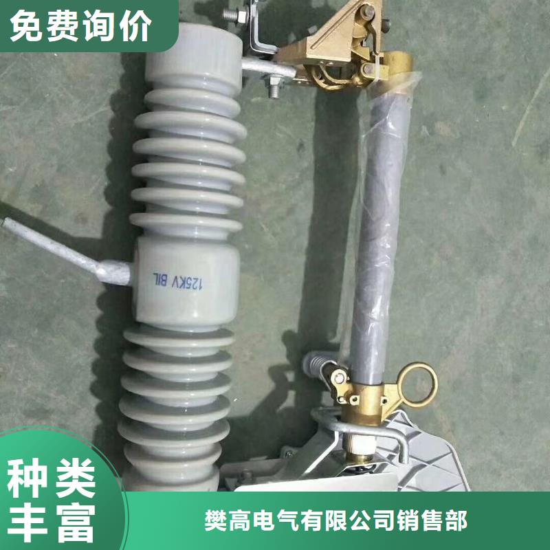 【 熔断器-绝缘子实力大厂家】把实惠留给您