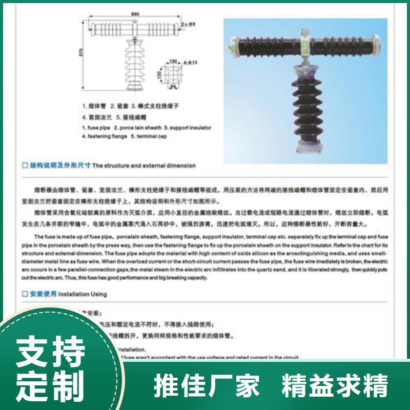 XRNT1-12/25A熔管