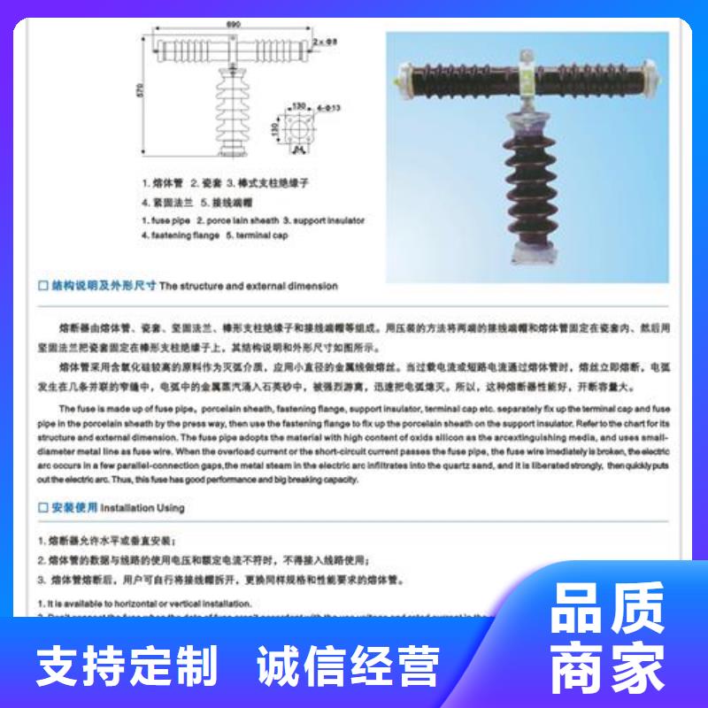 PD3-24/100A高压熔断器樊高