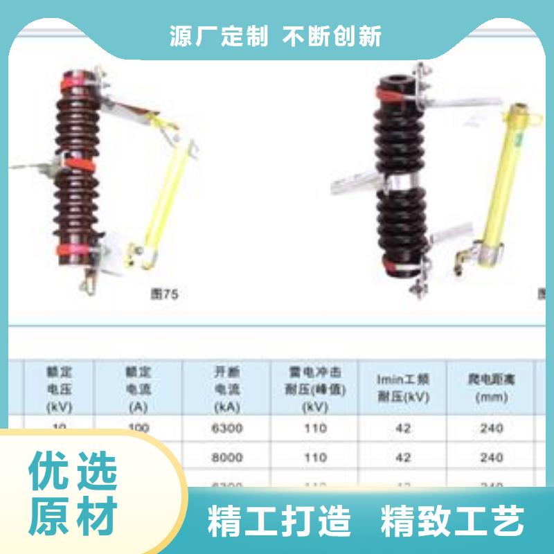 PD3-24/100A高压熔断器樊高