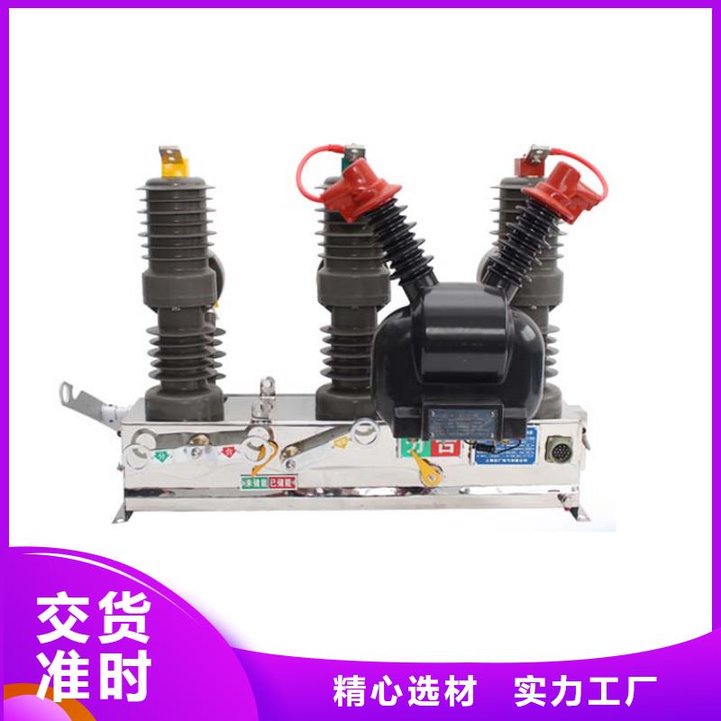 樊高【真空断路器】高低压电器好品质用的放心-云商赢企