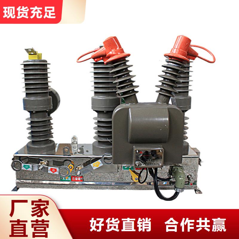 真空断路器电缆附件丰富的行业经验-樊高电气销售部(广东省分公司)-云商赢企