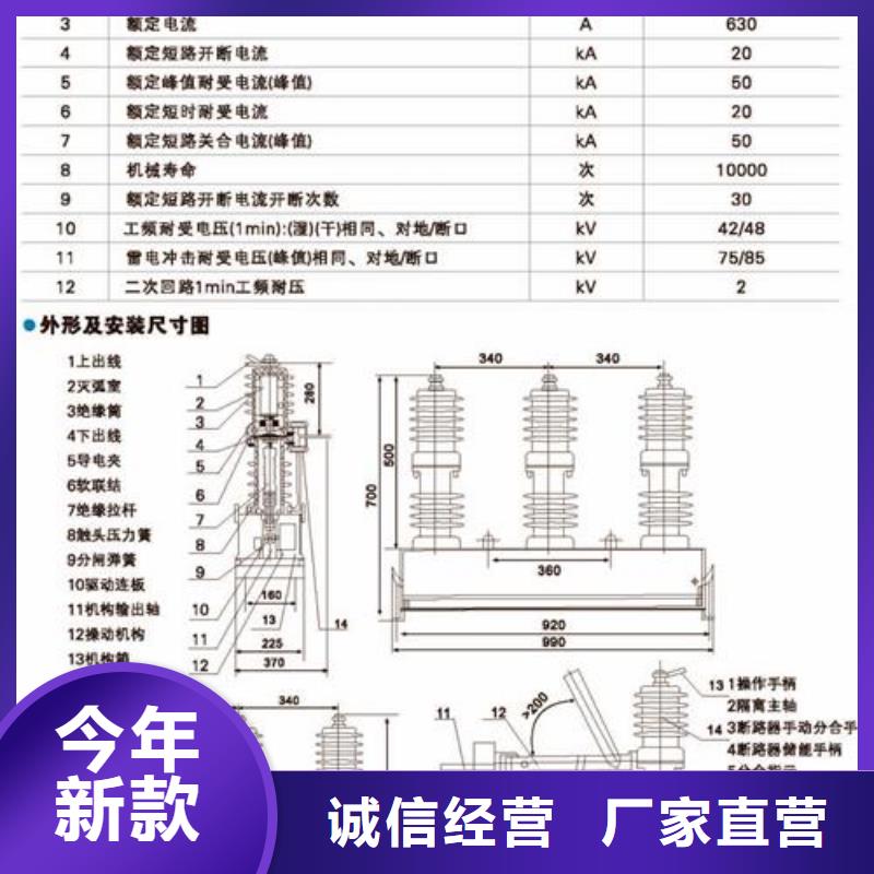 LW30-72.5/2000-40高压断路器樊高