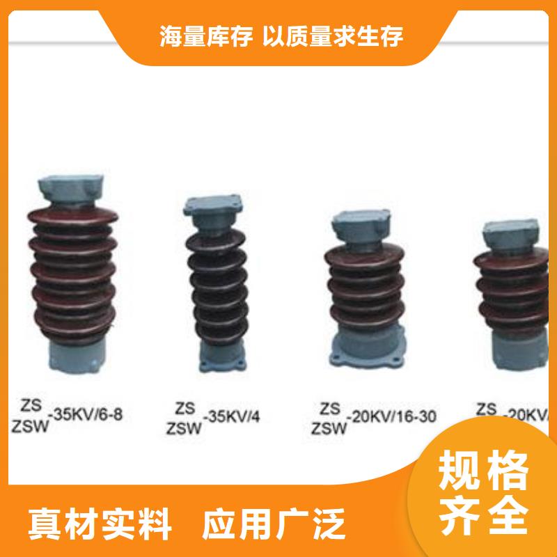 FXBW3-110/70硅胶绝缘子樊高