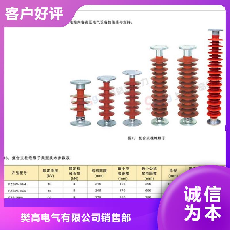 ZN-35Q/120*320环氧树脂绝缘子