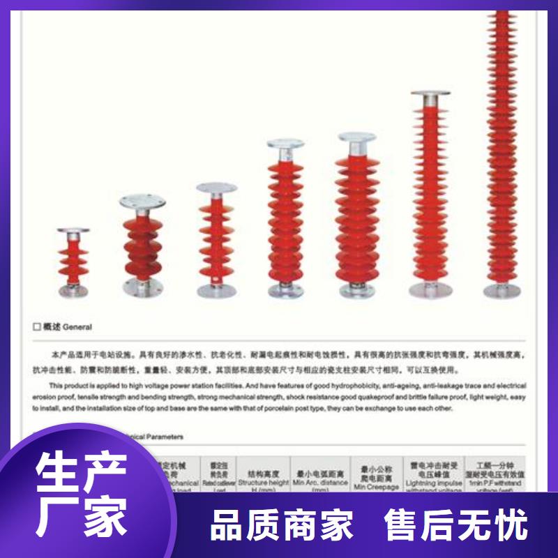 FXBW3-220/160复合绝缘子