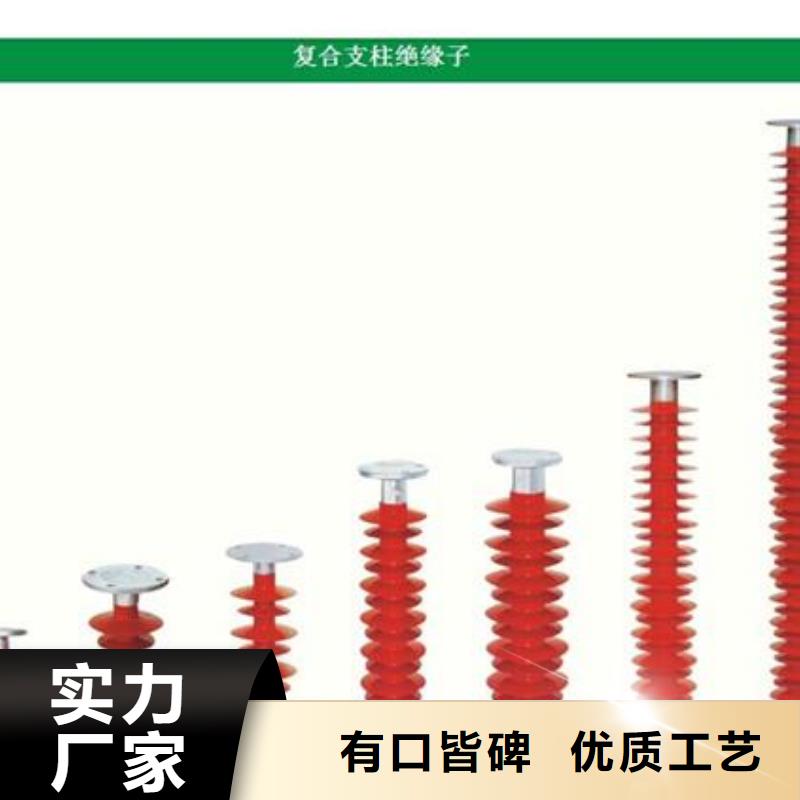 优质货源绝缘子真空断路器发货迅速当地品牌