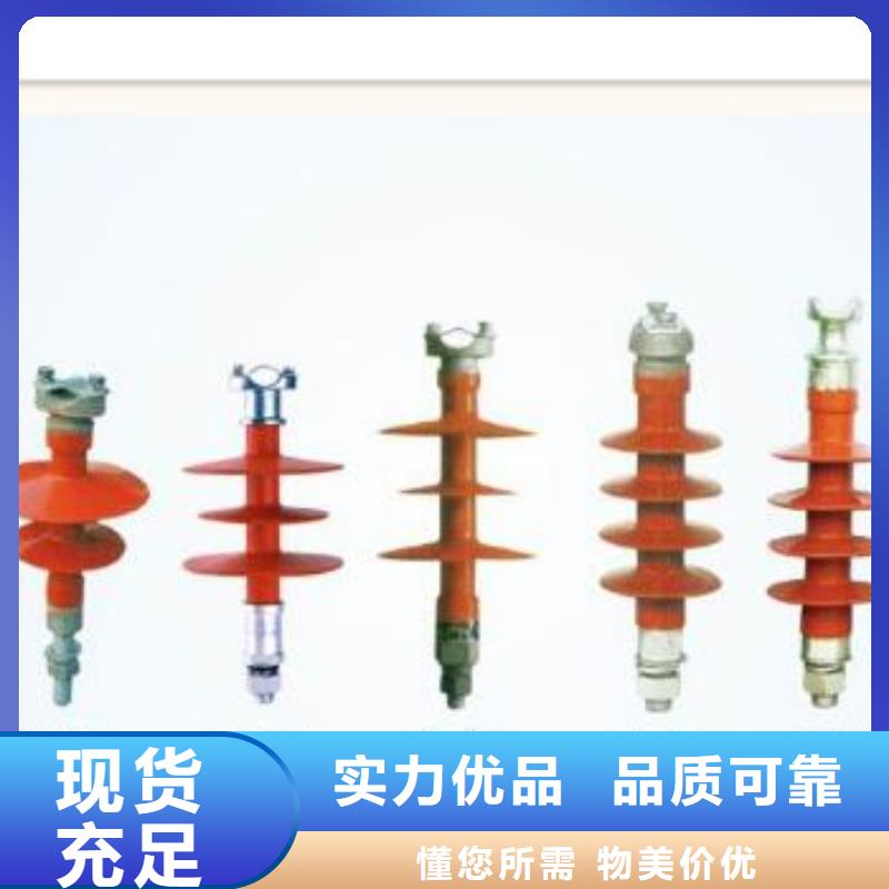 绝缘子,【高低压电器】全新升级品质保障-樊高电气销售部(西安市分公司)