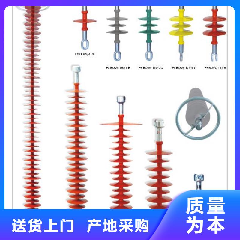 绝缘子,【高低压电器】全新升级品质保障-樊高电气销售部(西安市分公司)